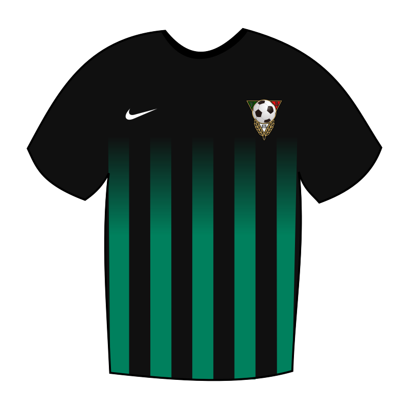 Koszulka wyjazdowa